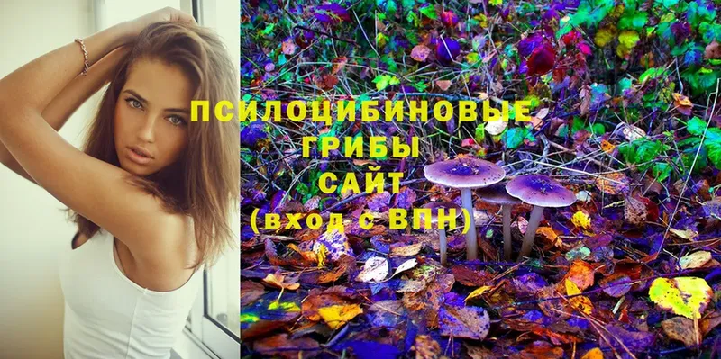 Псилоцибиновые грибы ЛСД  omg   Будённовск 